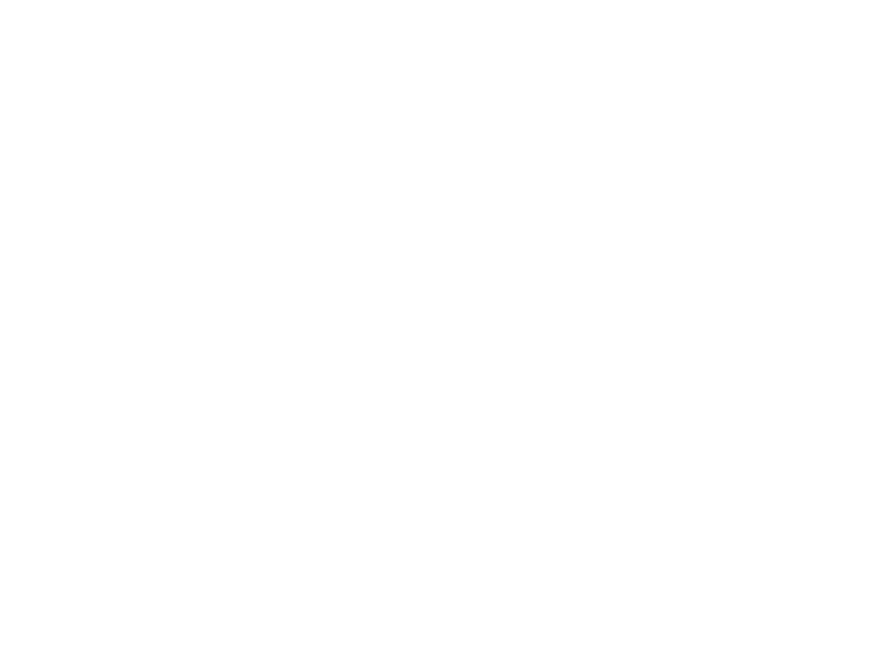 Boodle